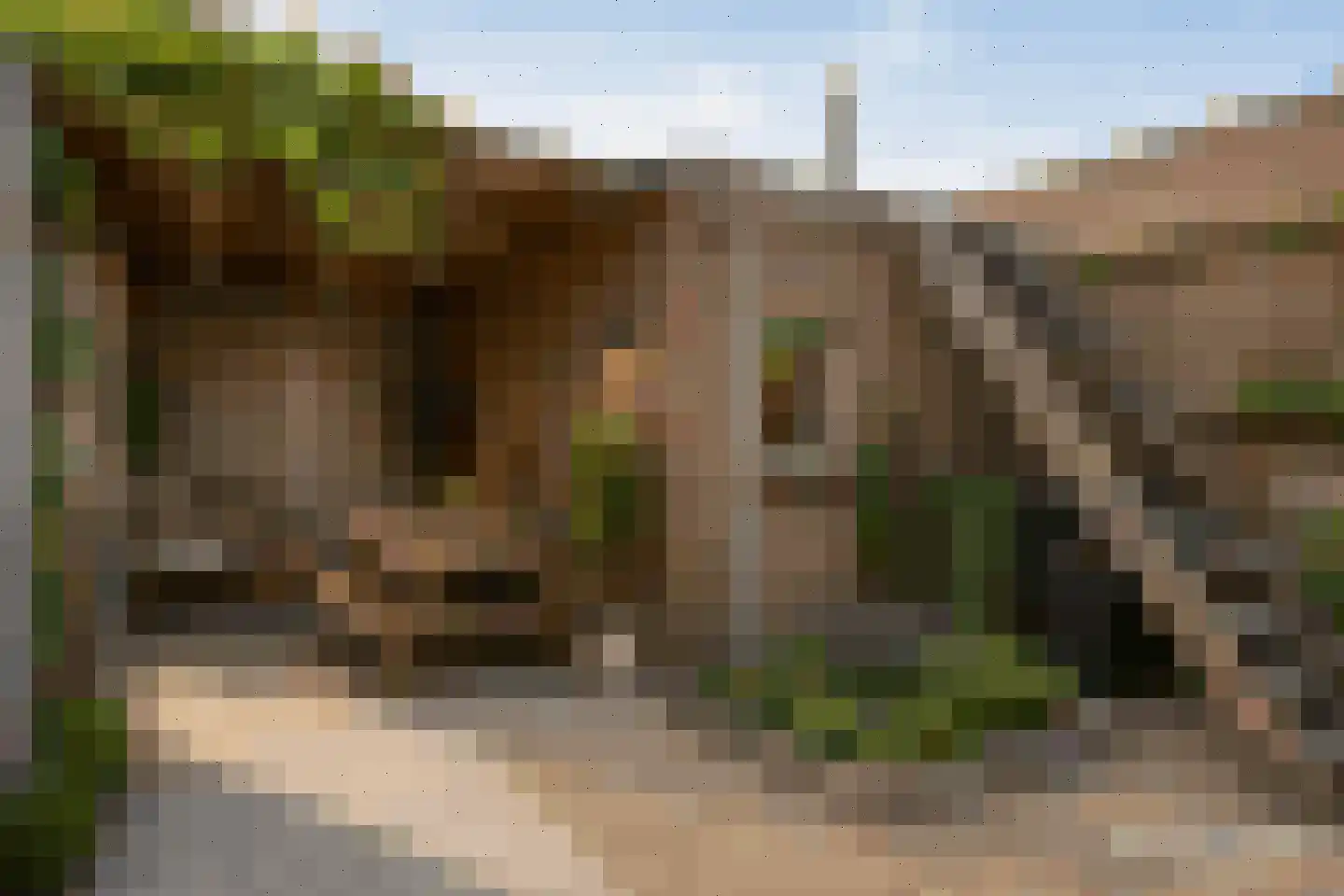 Boschstraat 49 a Zaltbommel thumbnail 10