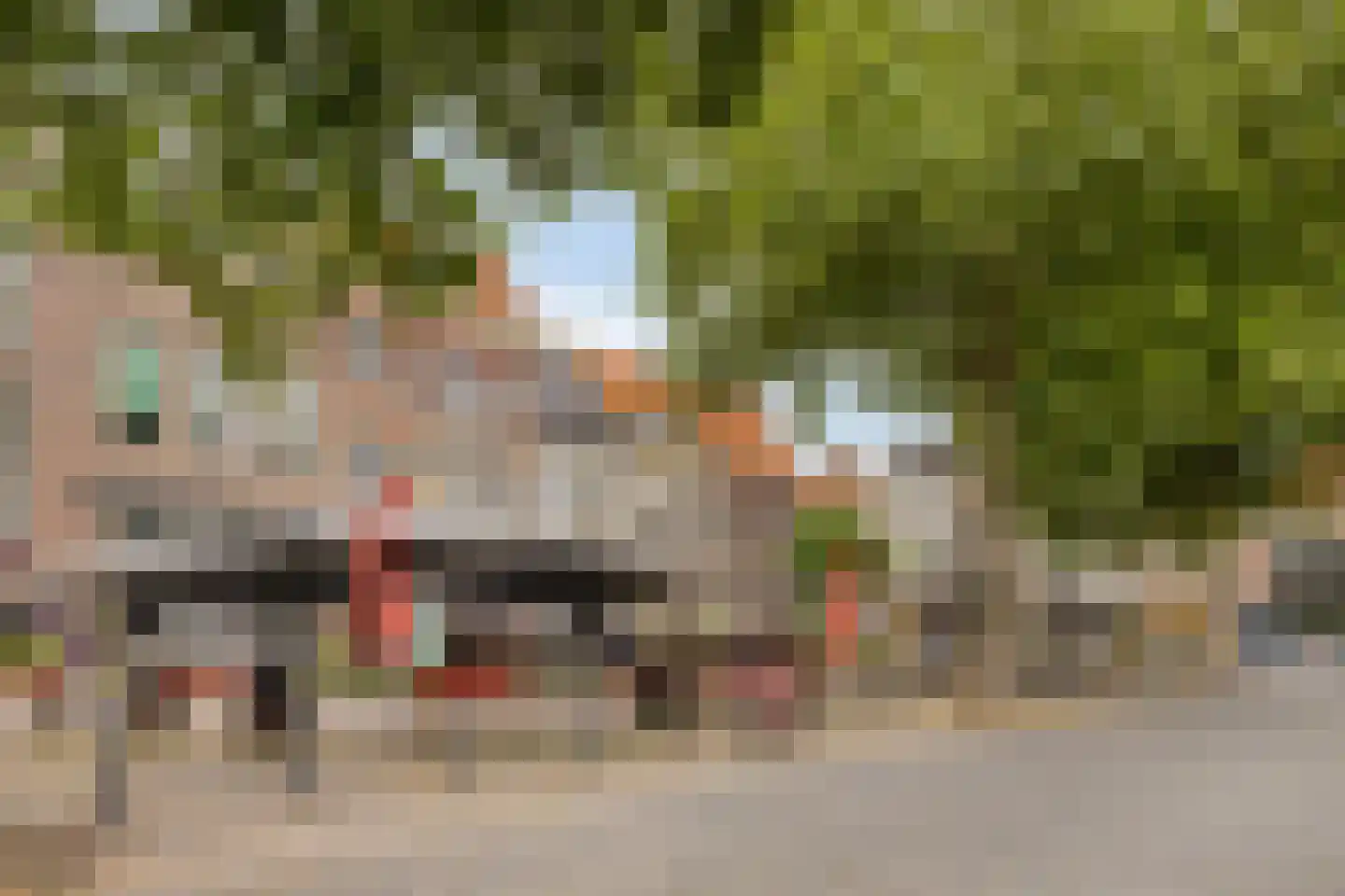 Boschstraat 49 a Zaltbommel thumbnail 16