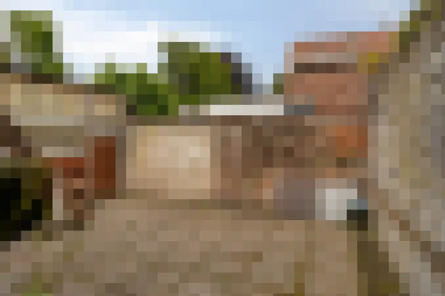 Boschstraat 49 a Zaltbommel thumbnail 8