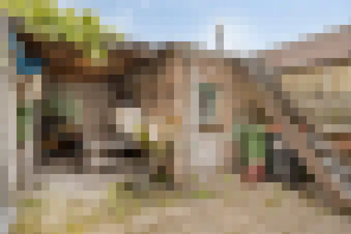 Boschstraat 49 a Zaltbommel thumbnail 9