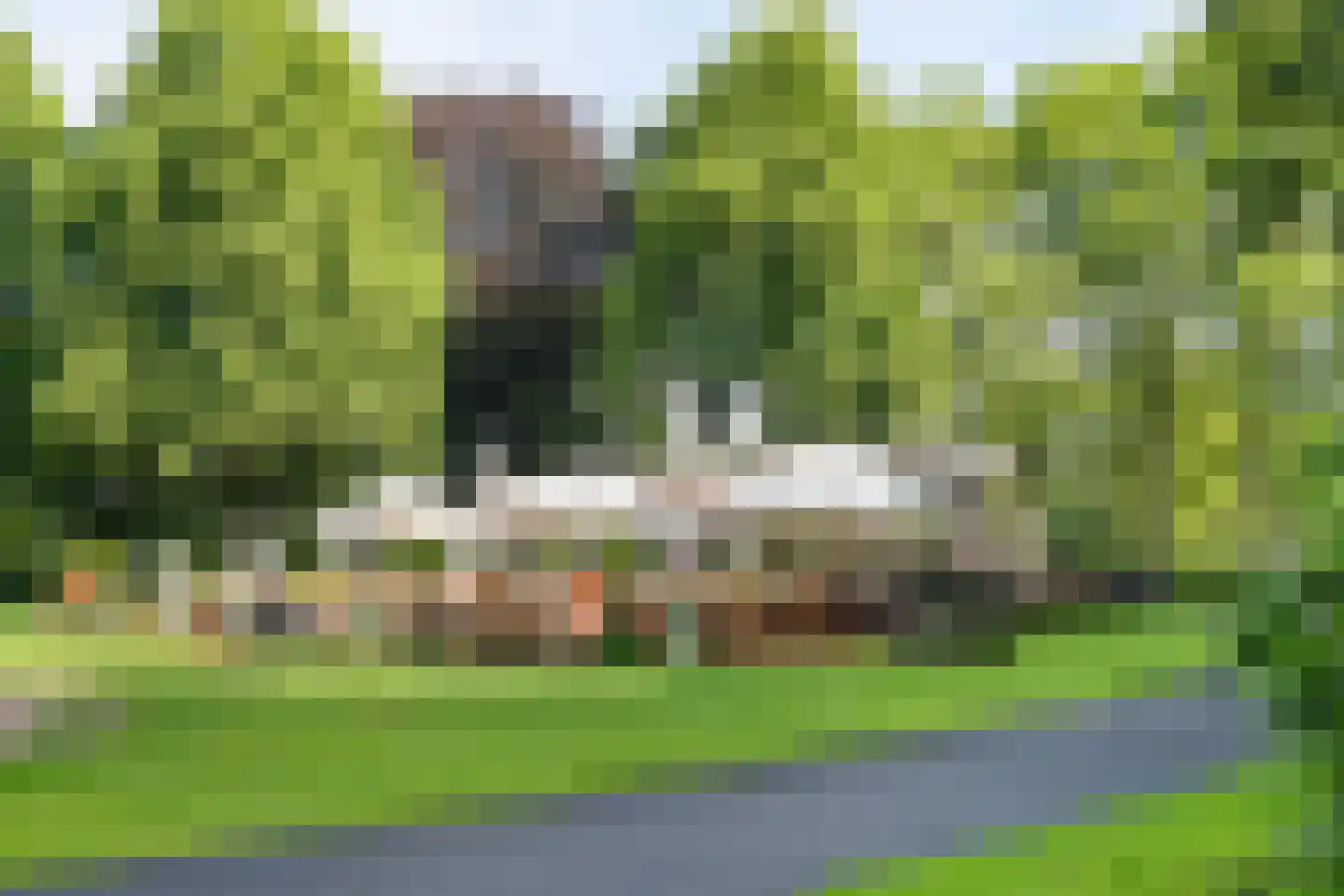 Boschstraat 49 Breda thumbnail 38