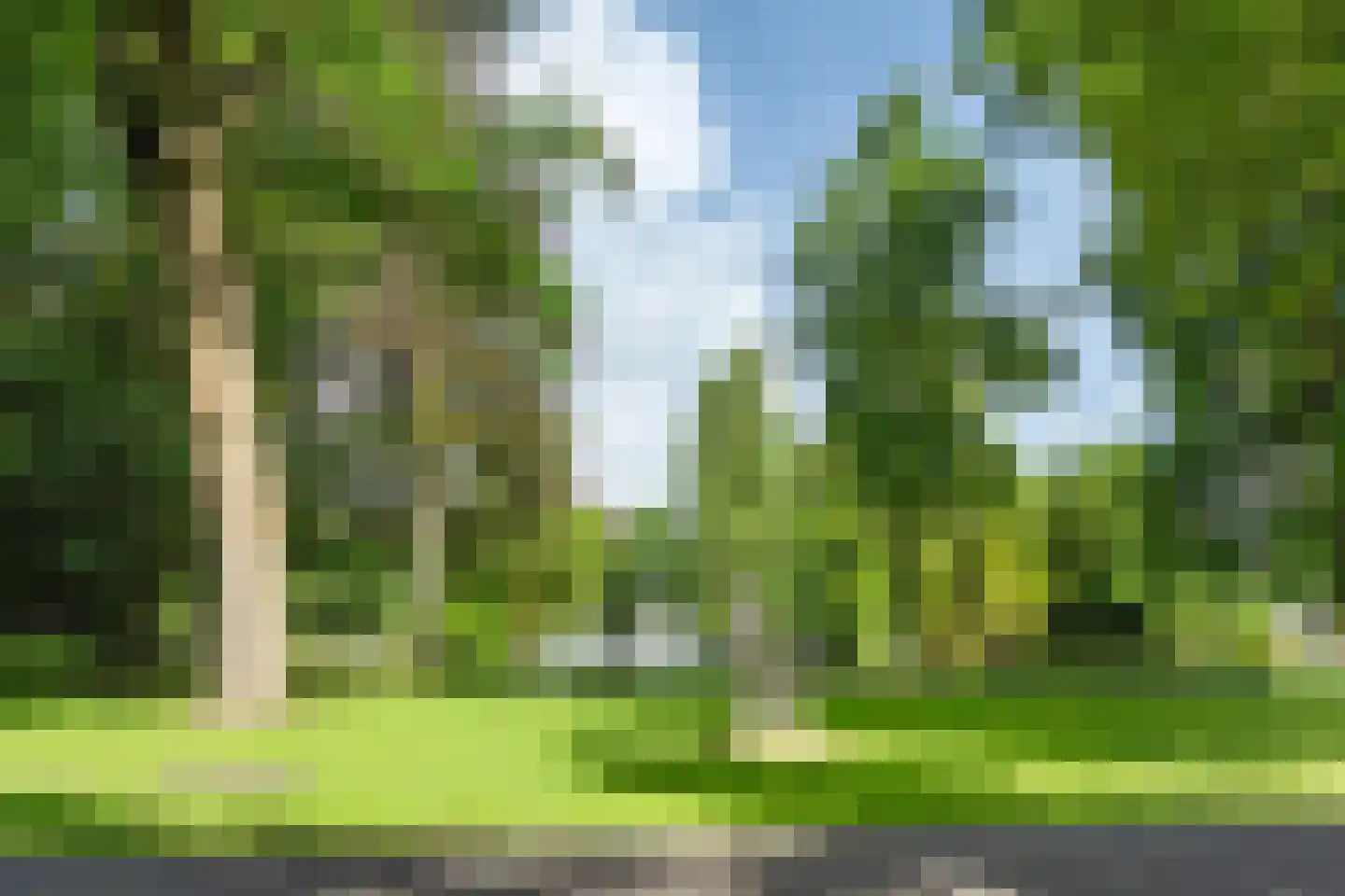 Boschstraat 49 Breda thumbnail 39