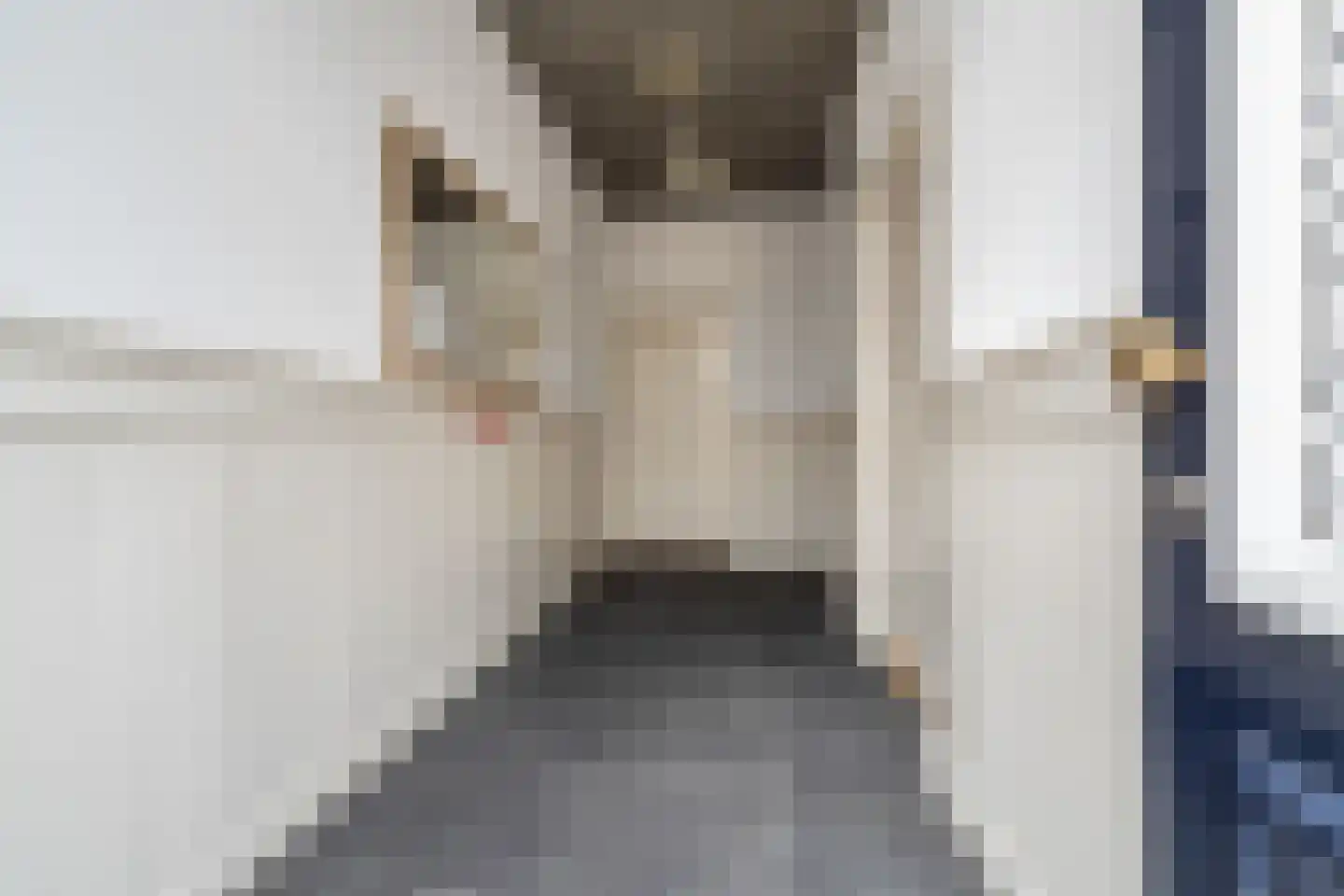 Boschstraat 49 Breda thumbnail 5