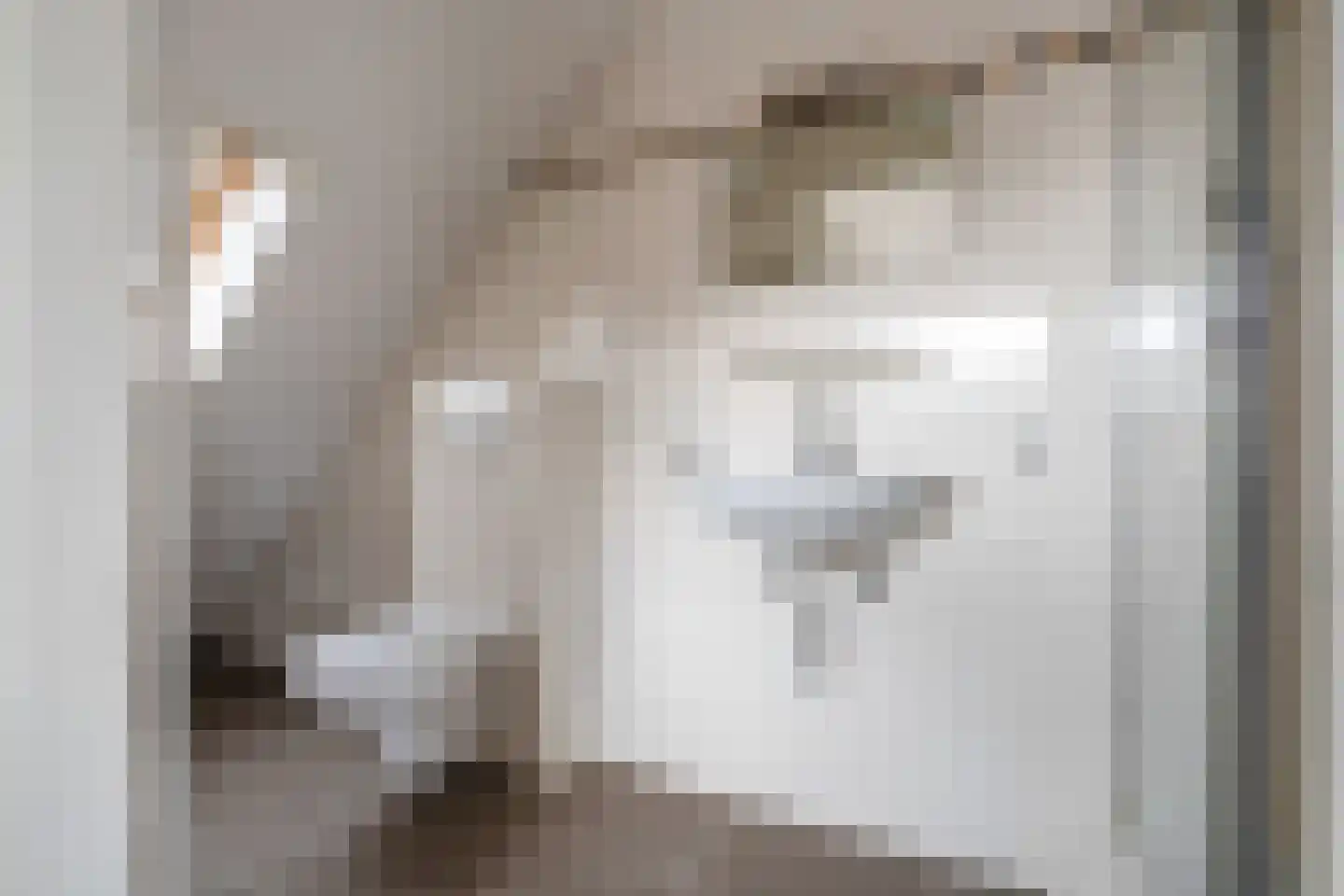 Boschstraat 49 D Breda thumbnail 15