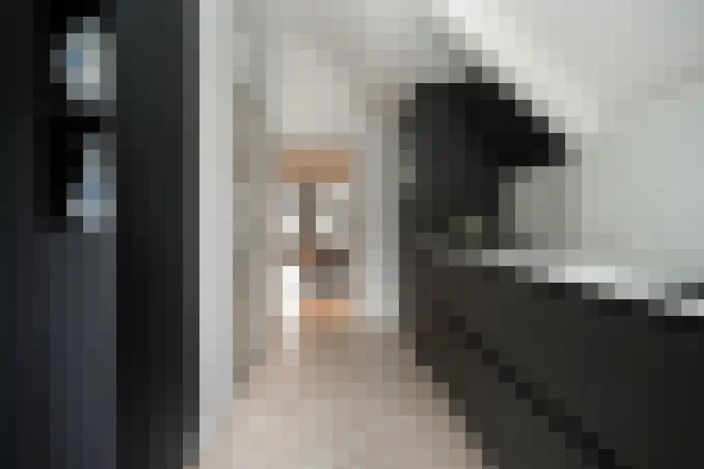 Boschstraat 49 Zaltbommel thumbnail 15
