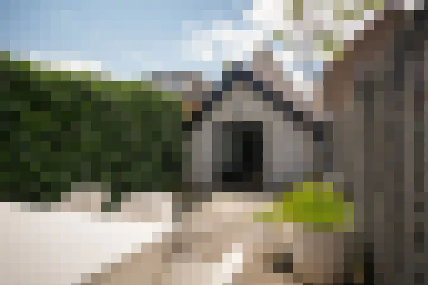 Boschstraat 49 Zaltbommel thumbnail 27