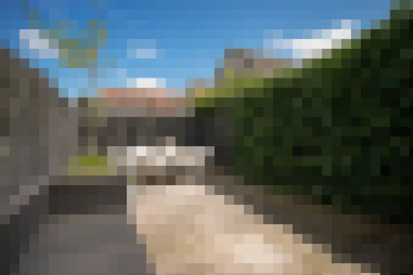 Boschstraat 49 Zaltbommel thumbnail 28
