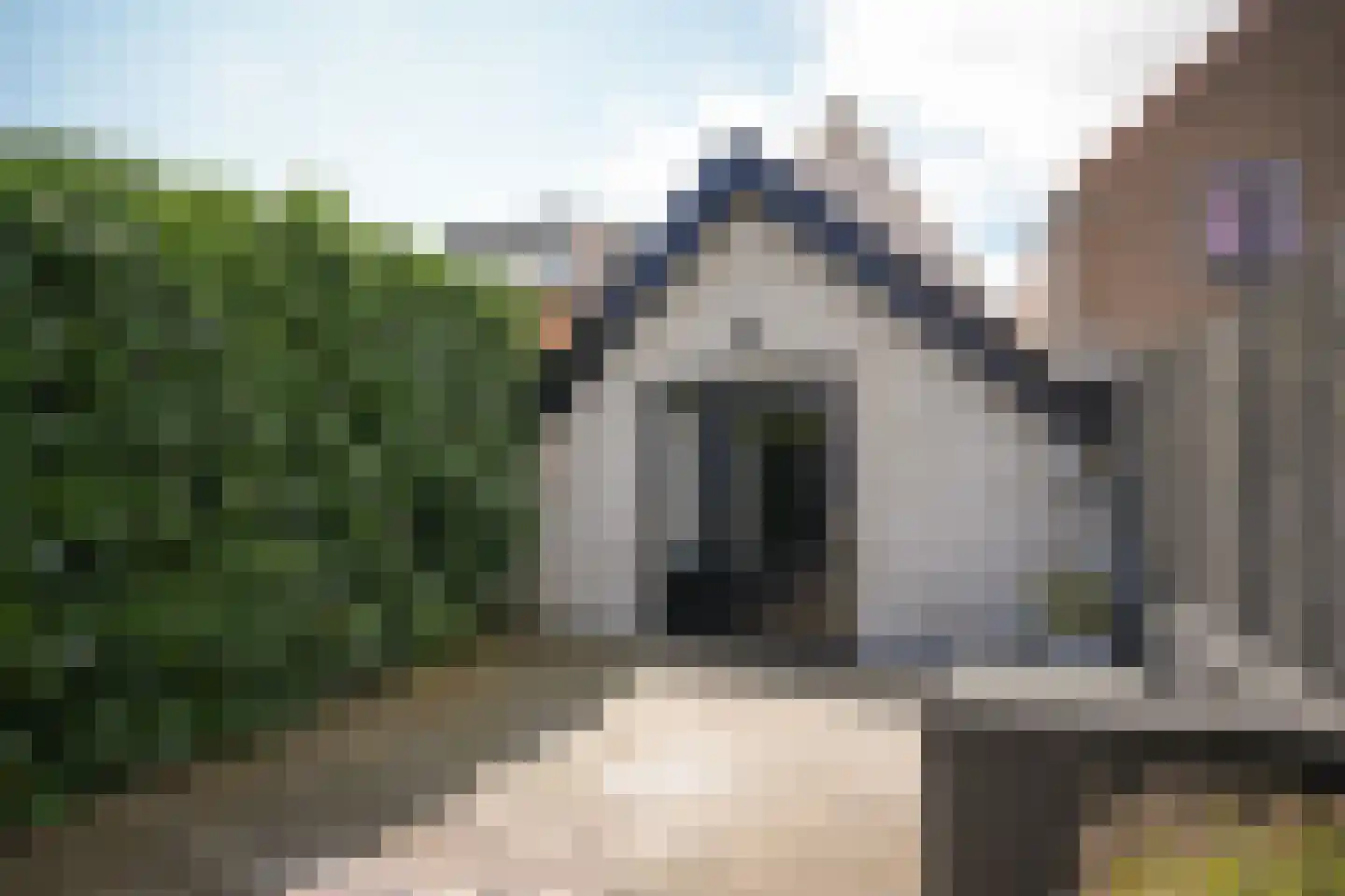 Boschstraat 49 Zaltbommel thumbnail 31