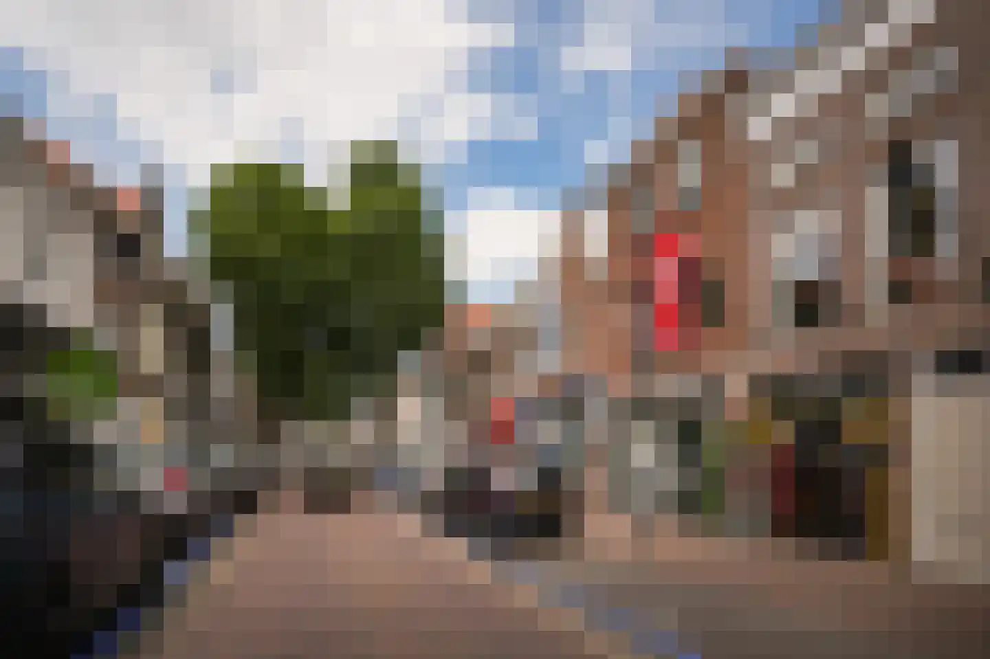 Boschstraat 49 Zaltbommel thumbnail 36