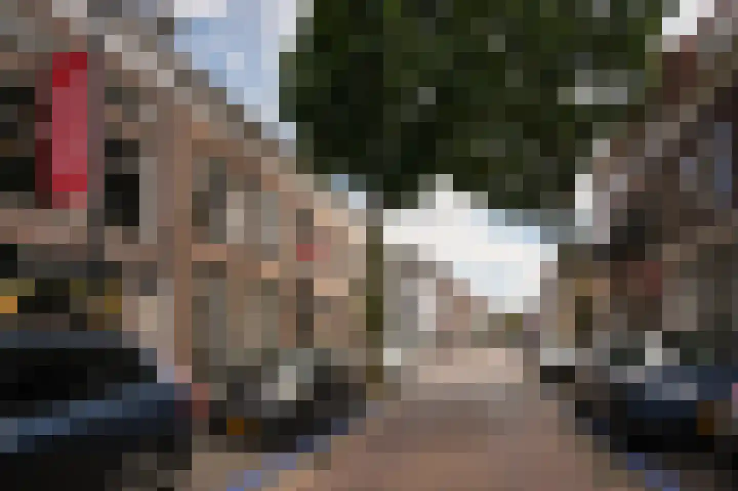 Boschstraat 49 Zaltbommel thumbnail 37