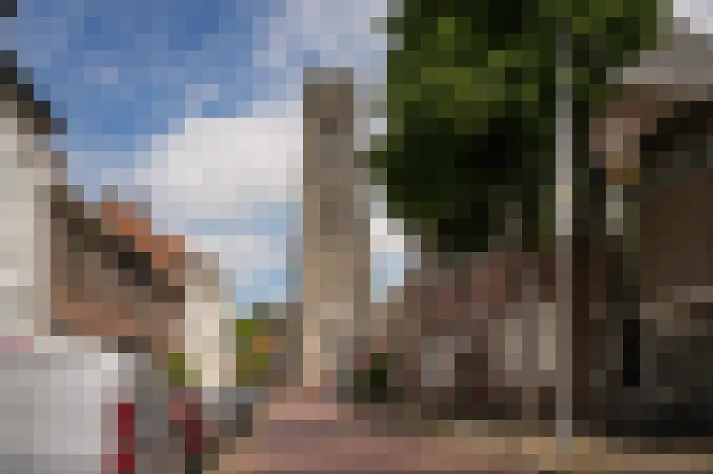 Boschstraat 49 Zaltbommel thumbnail 38