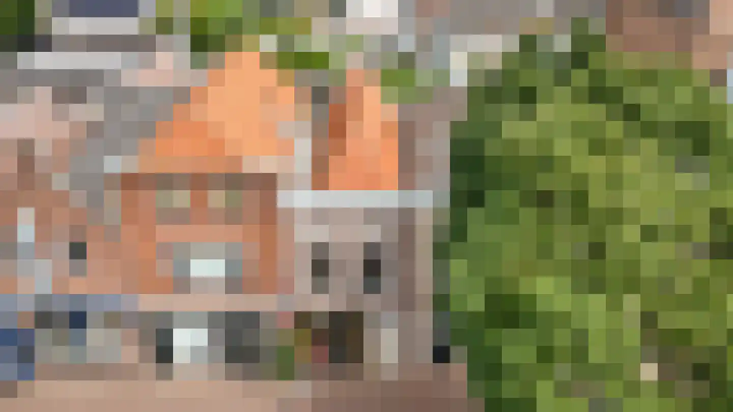 Boschstraat 49 Zaltbommel thumbnail 39