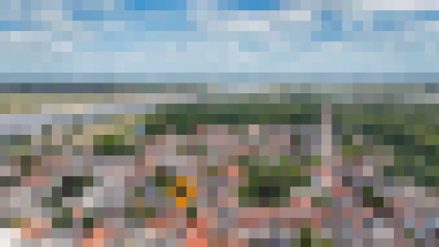 Boschstraat 49 Zaltbommel thumbnail 41