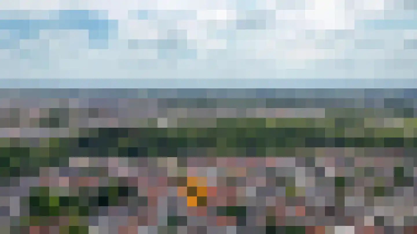 Boschstraat 49 Zaltbommel thumbnail 43