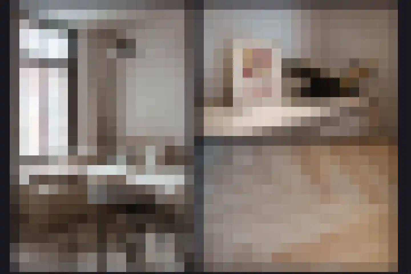 Boschstraat 49 Zaltbommel thumbnail 5