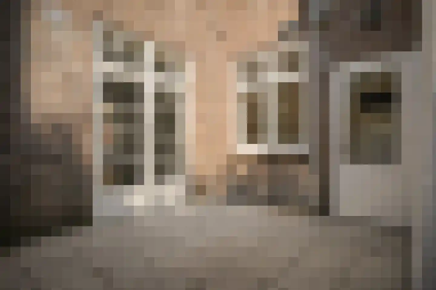 Boschstraat 57 Zaltbommel thumbnail 11