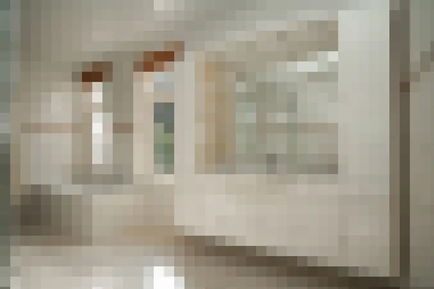 Boschstraat 57 Zaltbommel thumbnail 27