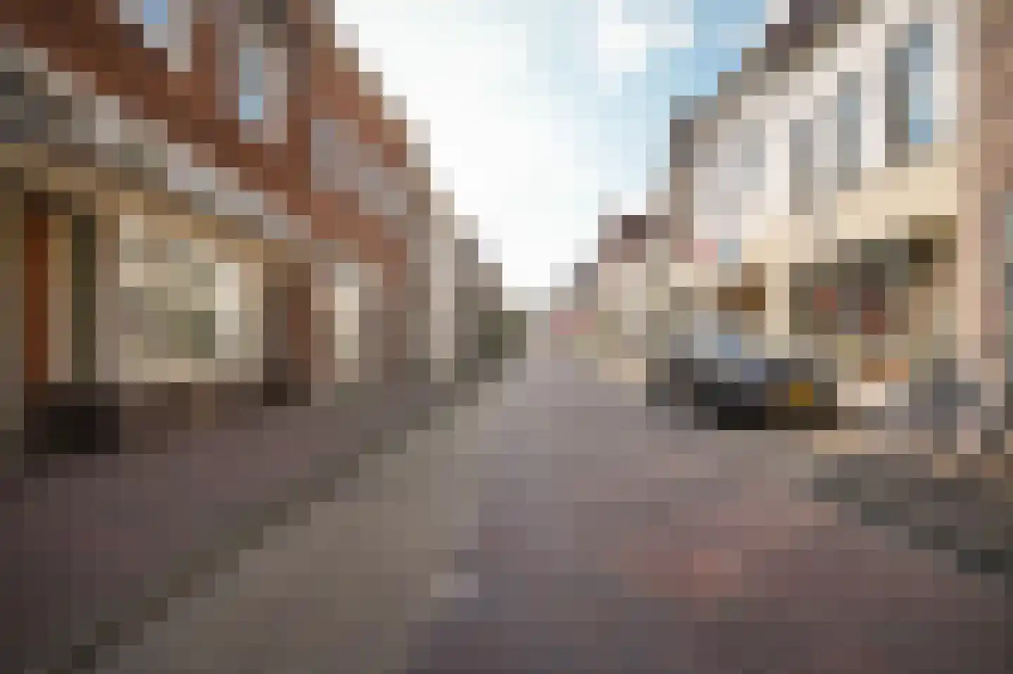 Boschstraat 57 Zaltbommel thumbnail 44