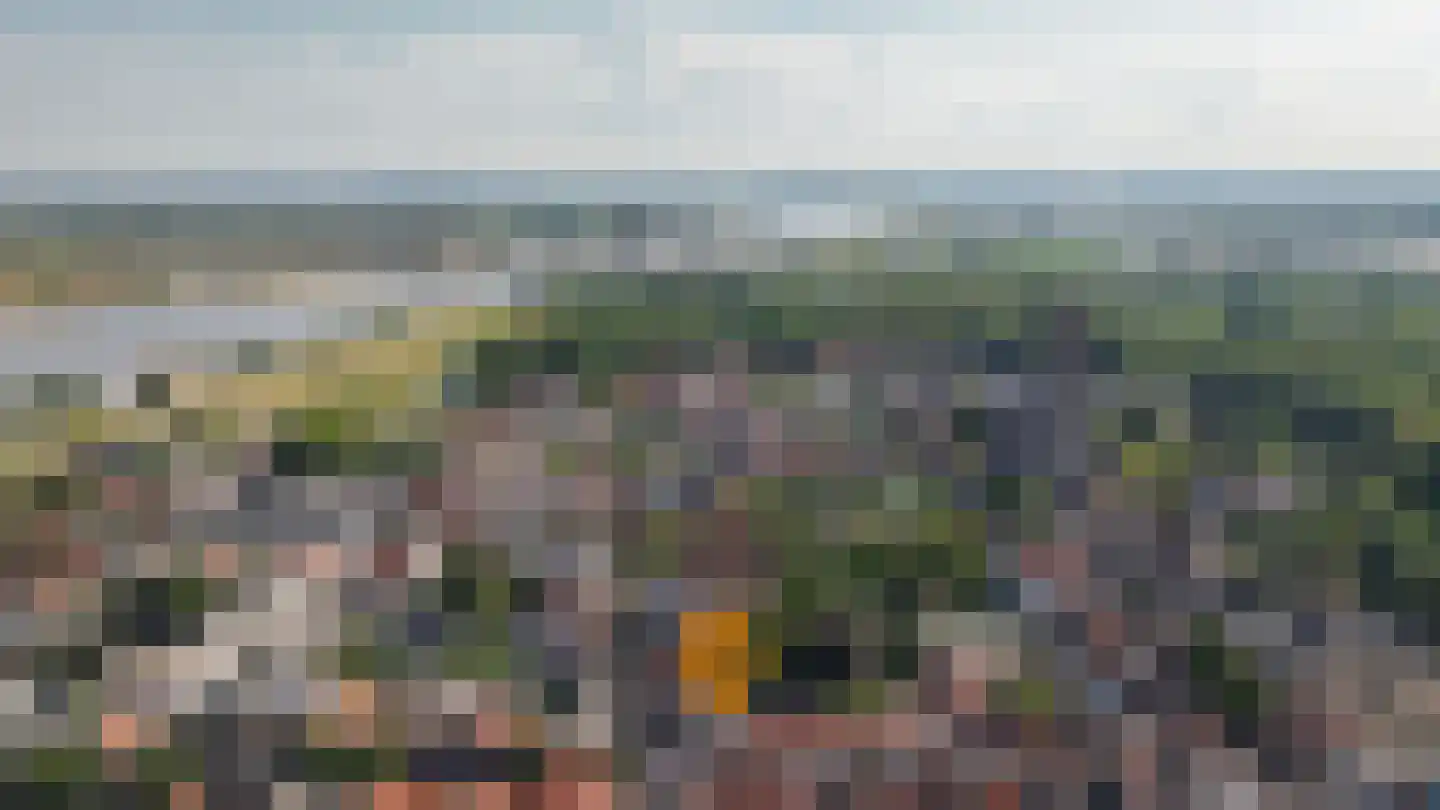 Boschstraat 57 Zaltbommel thumbnail 49