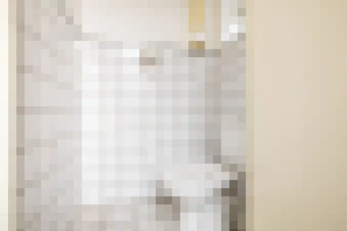 Boschstraat 6 Zaandijk thumbnail 10