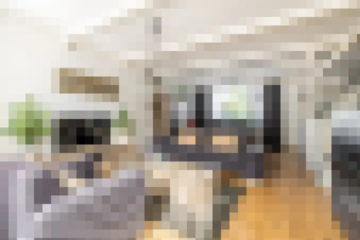 Boschstraat 6 Zaandijk thumbnail 11