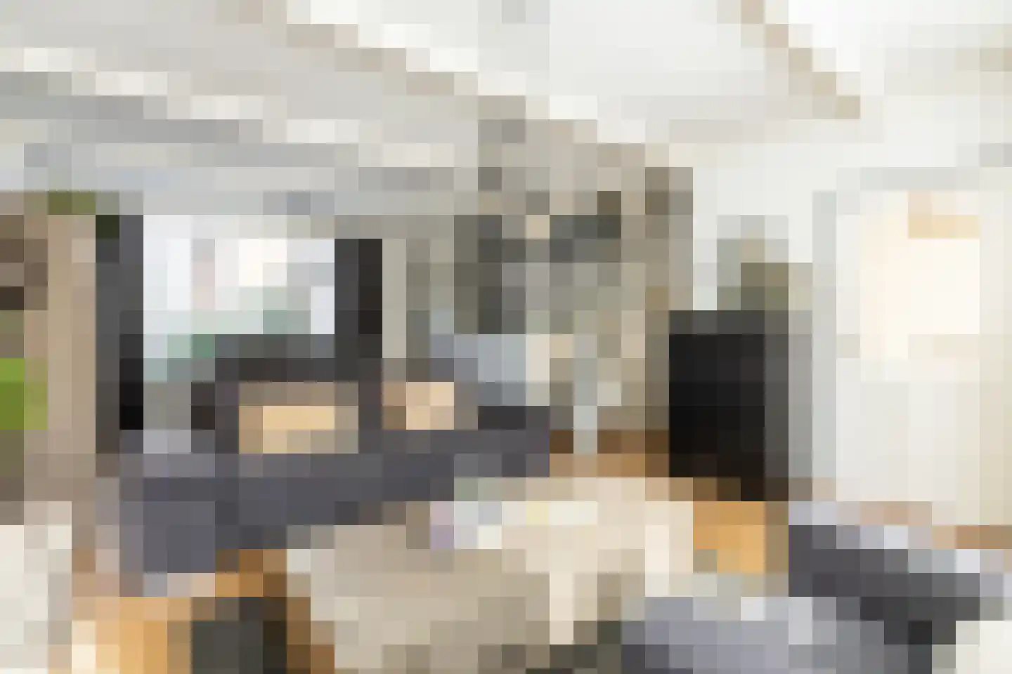 Boschstraat 6 Zaandijk thumbnail 12