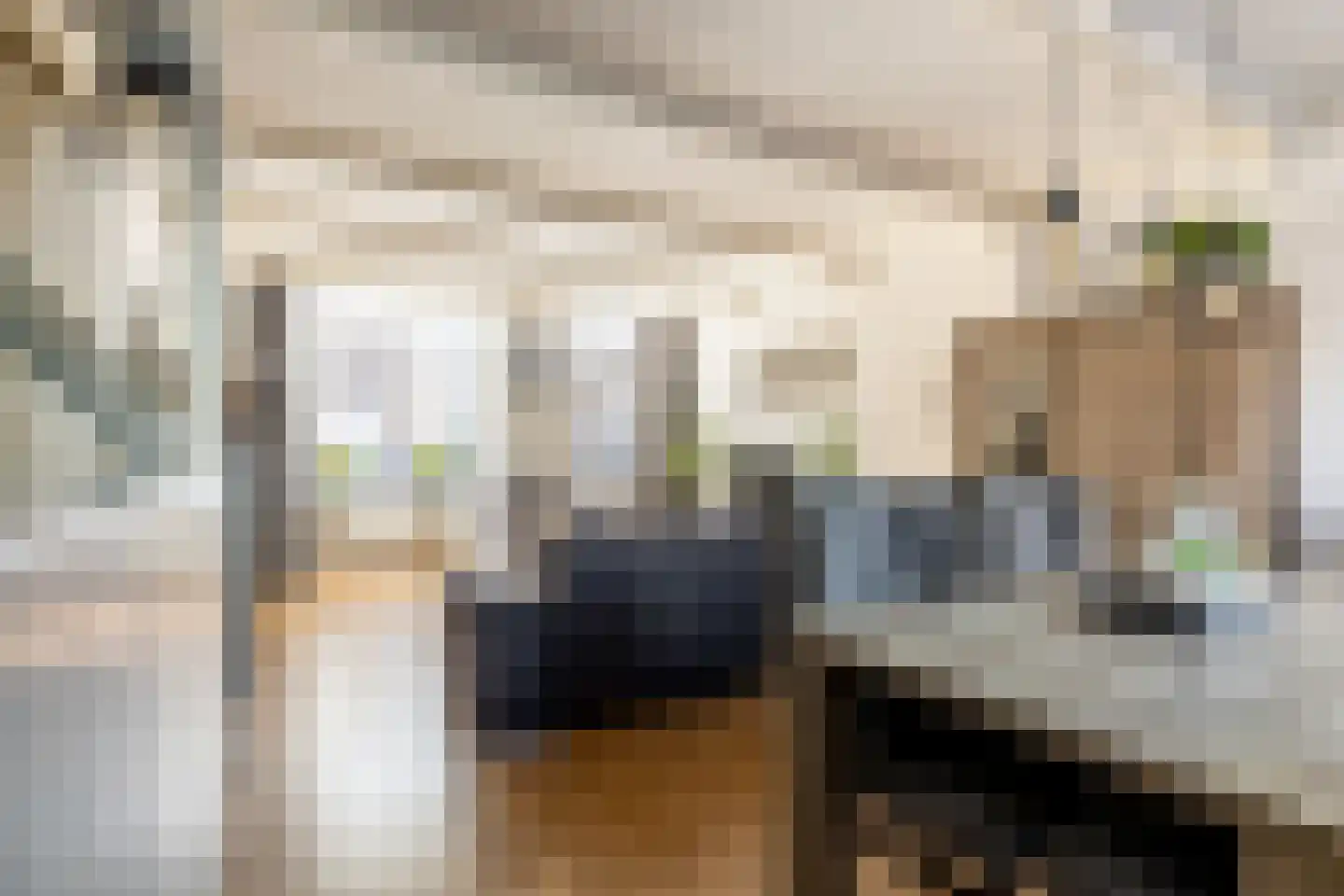 Boschstraat 6 Zaandijk thumbnail 18