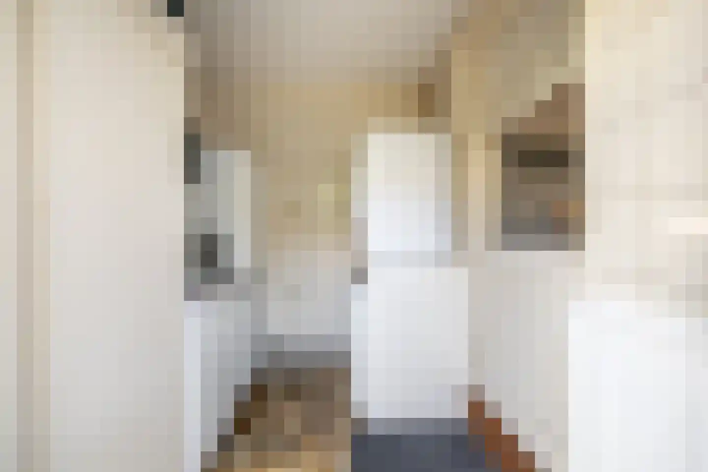 Boschstraat 6 Zaandijk thumbnail 21