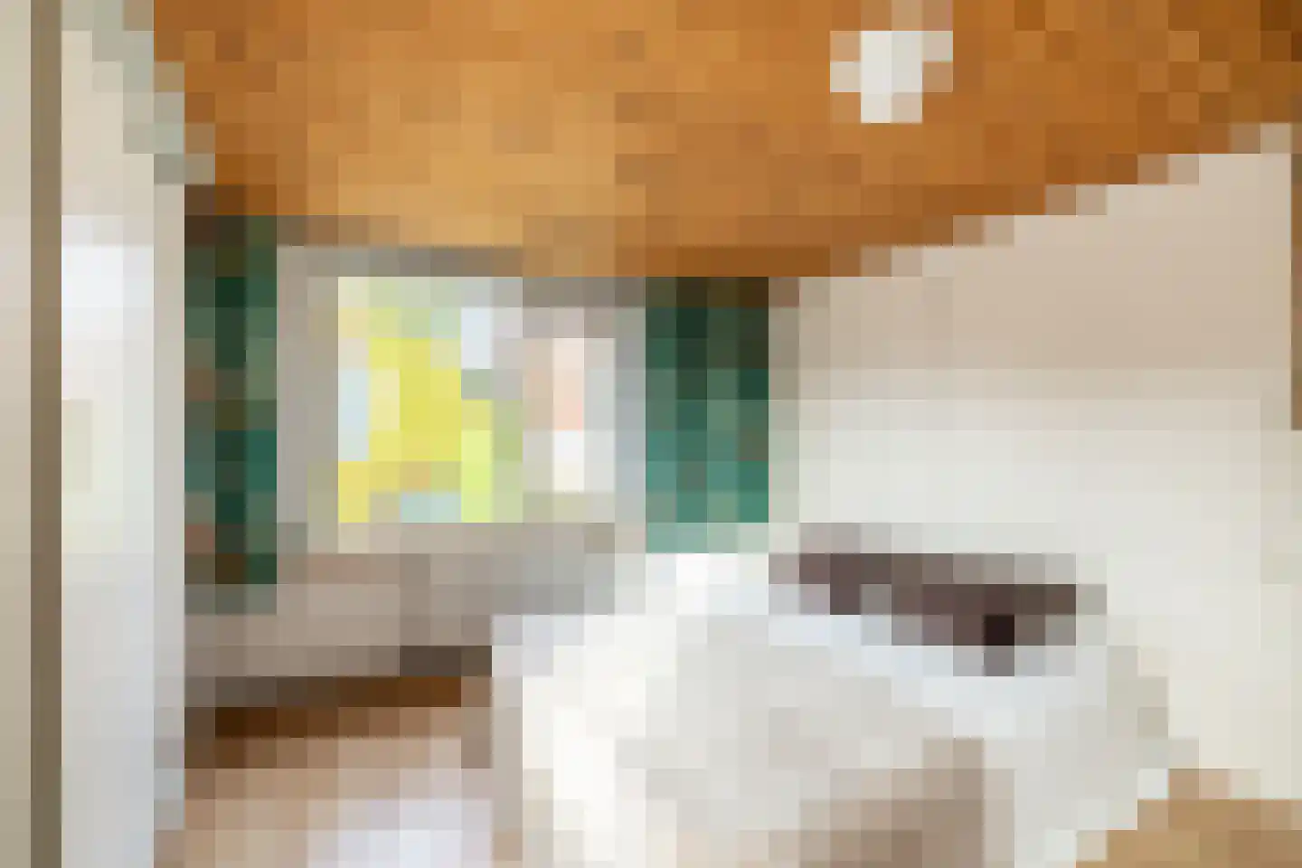 Boschstraat 6 Zaandijk thumbnail 24