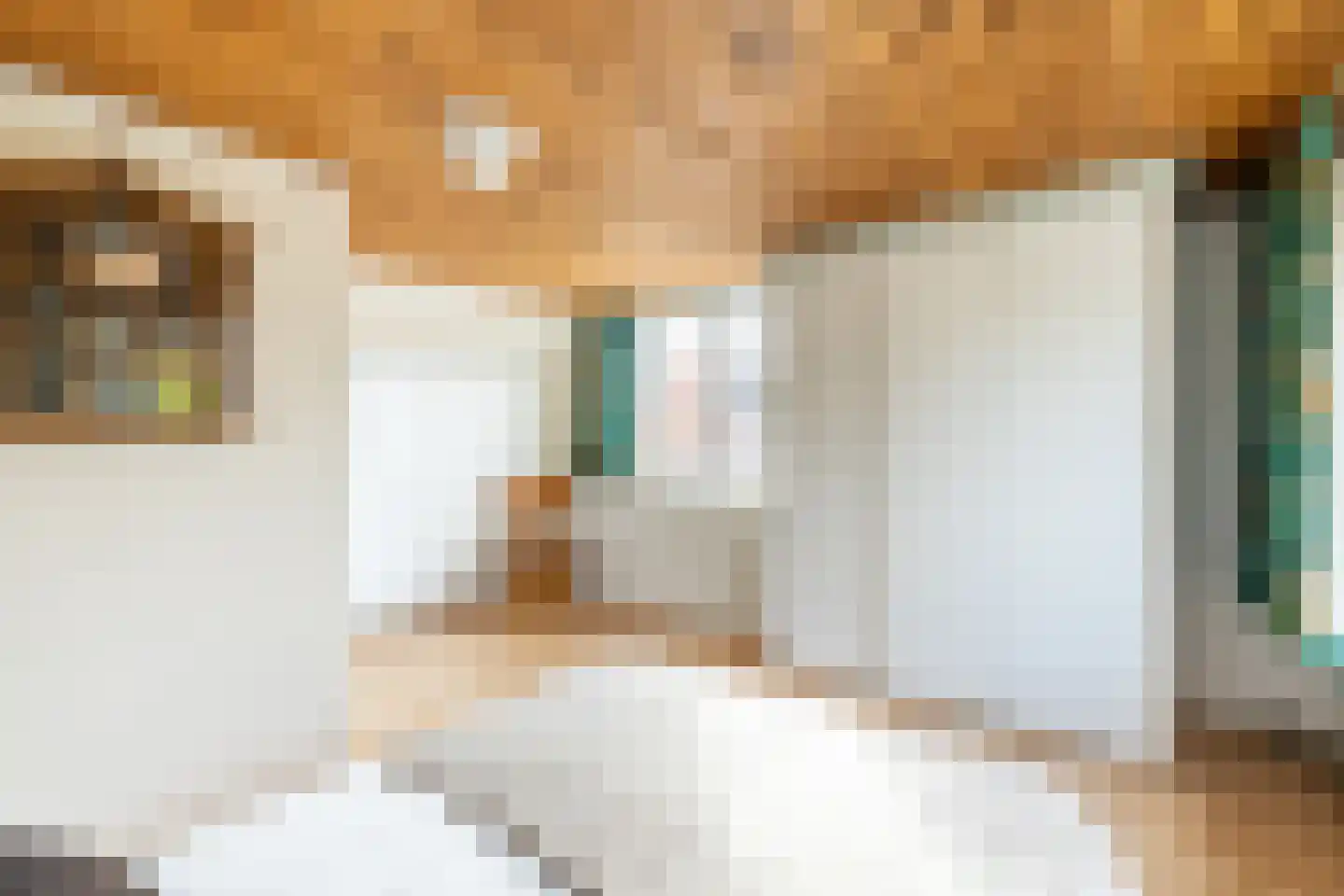 Boschstraat 6 Zaandijk thumbnail 25