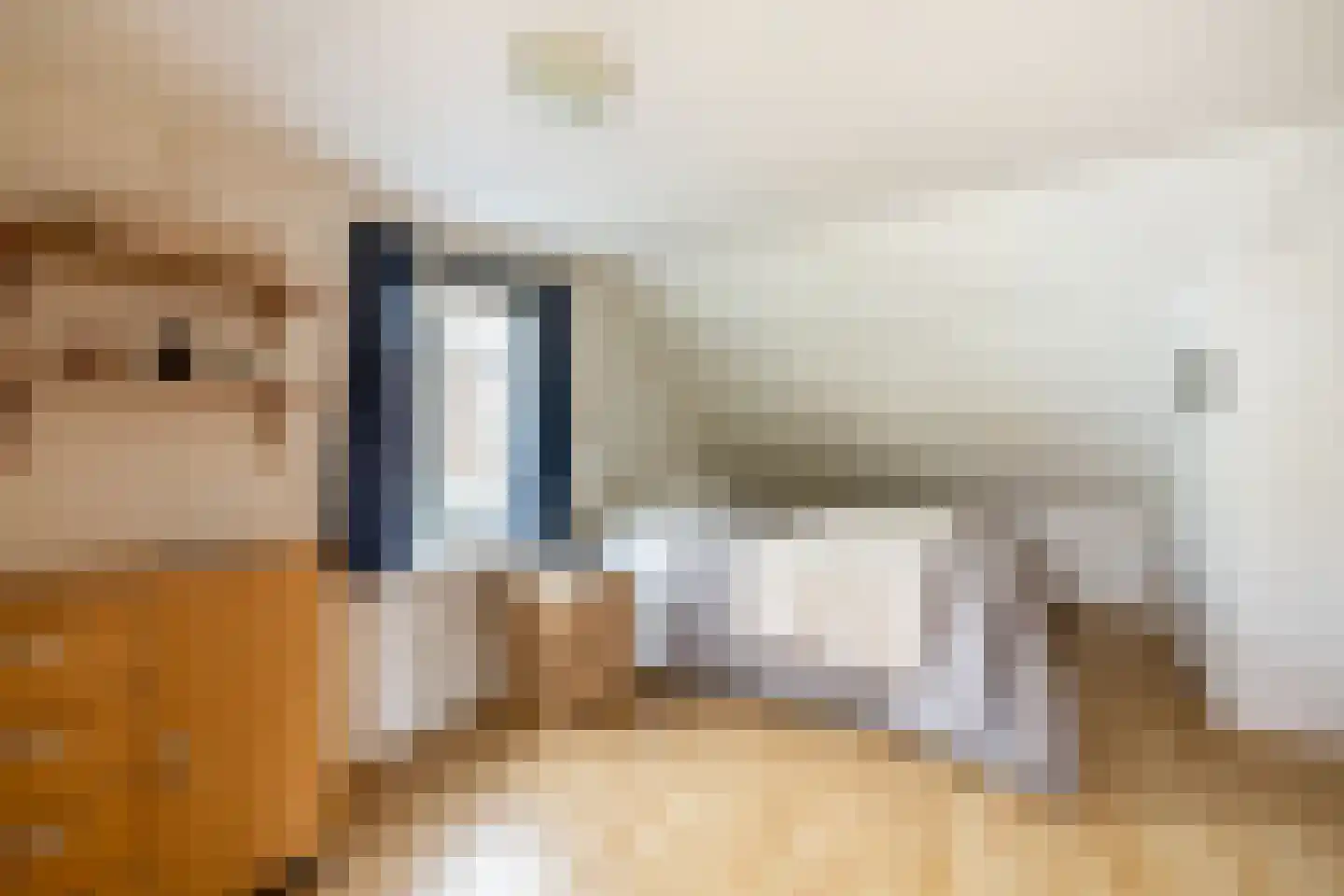 Boschstraat 6 Zaandijk thumbnail 30