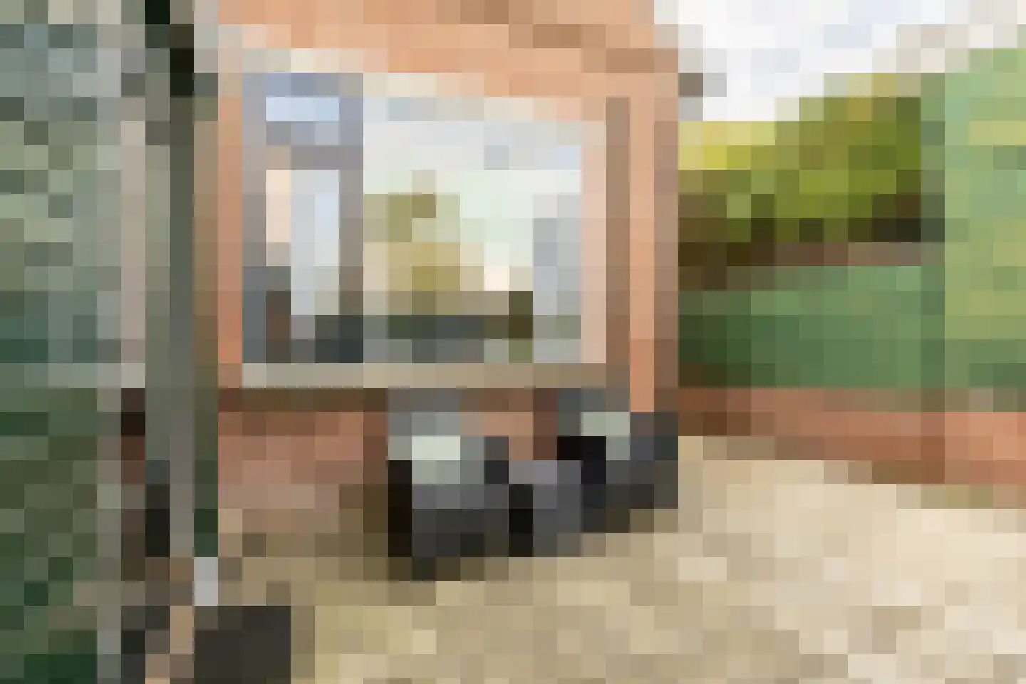 Boschstraat 6 Zaandijk thumbnail 32