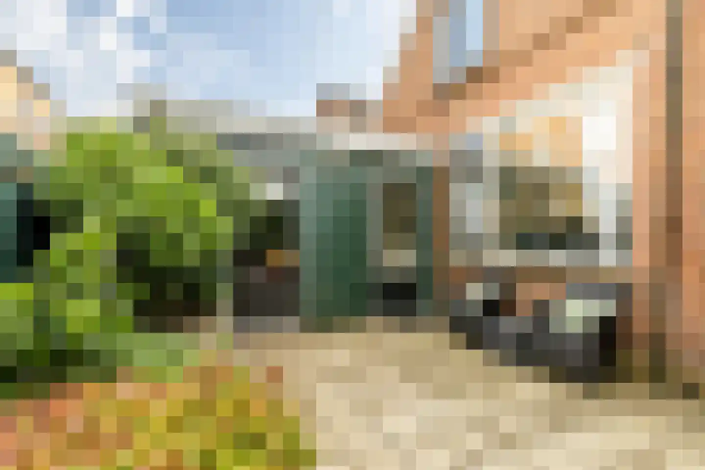 Boschstraat 6 Zaandijk thumbnail 34