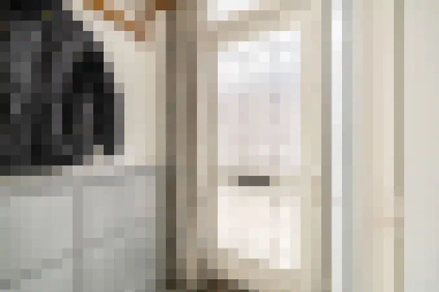 Boschstraat 6 Zaandijk thumbnail 9