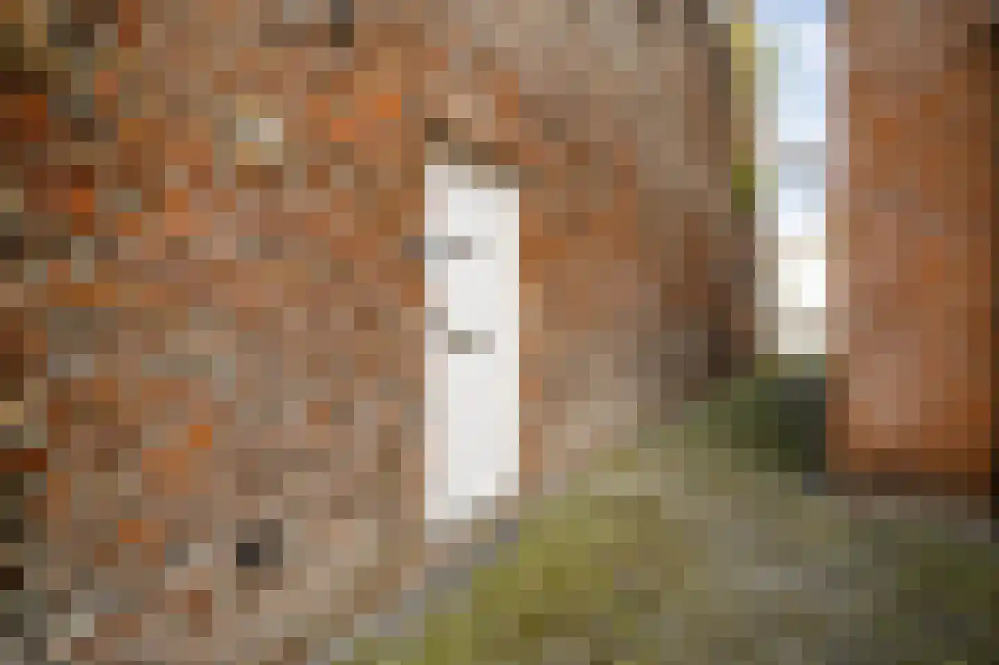 Boschstraat 65 Maastricht thumbnail 7