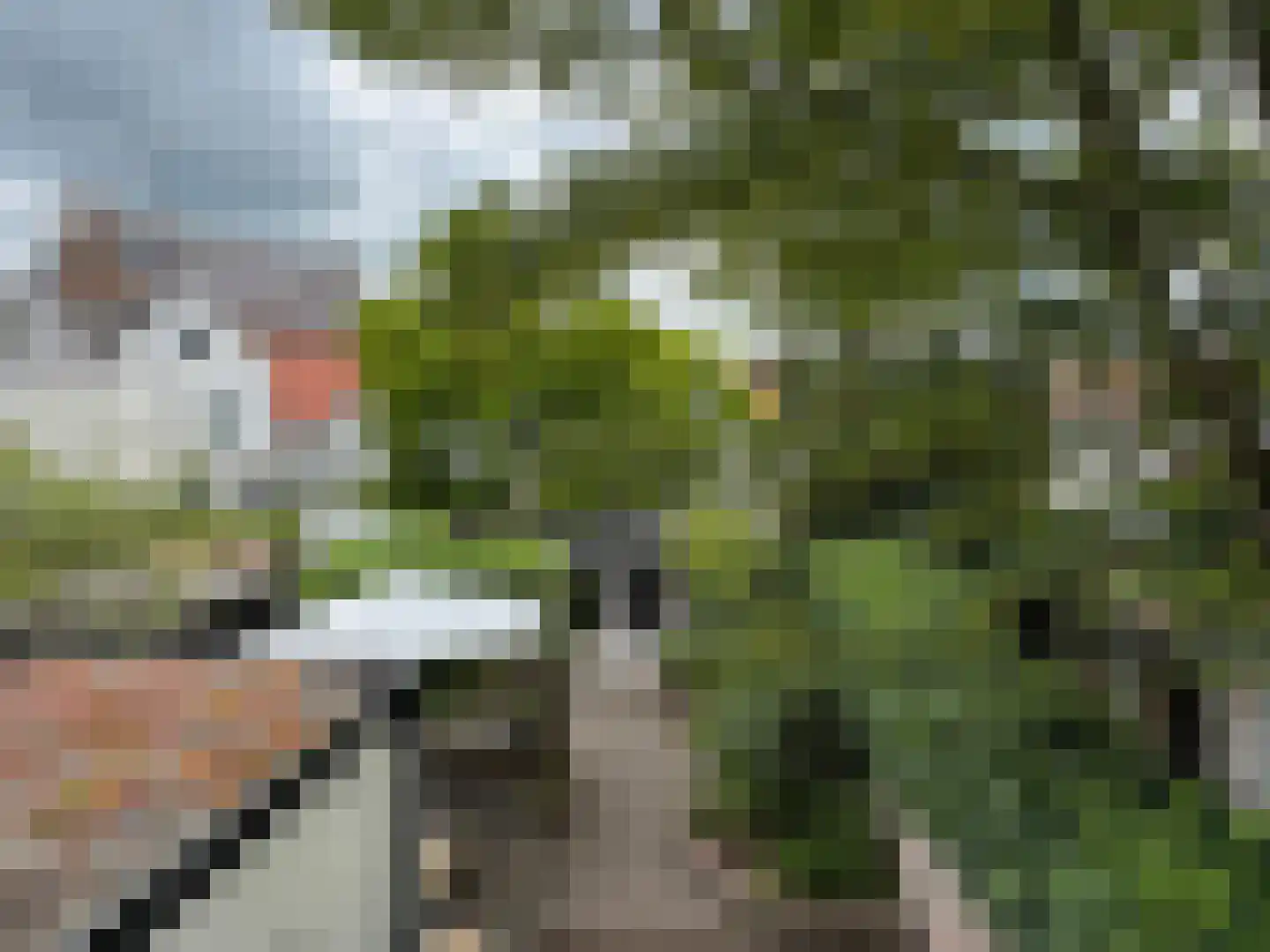 Boschstraat 66 Zaltbommel thumbnail 27