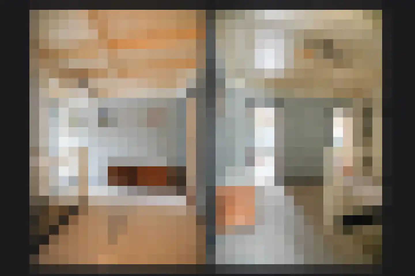 Boschstraat 66 Zaltbommel thumbnail 39