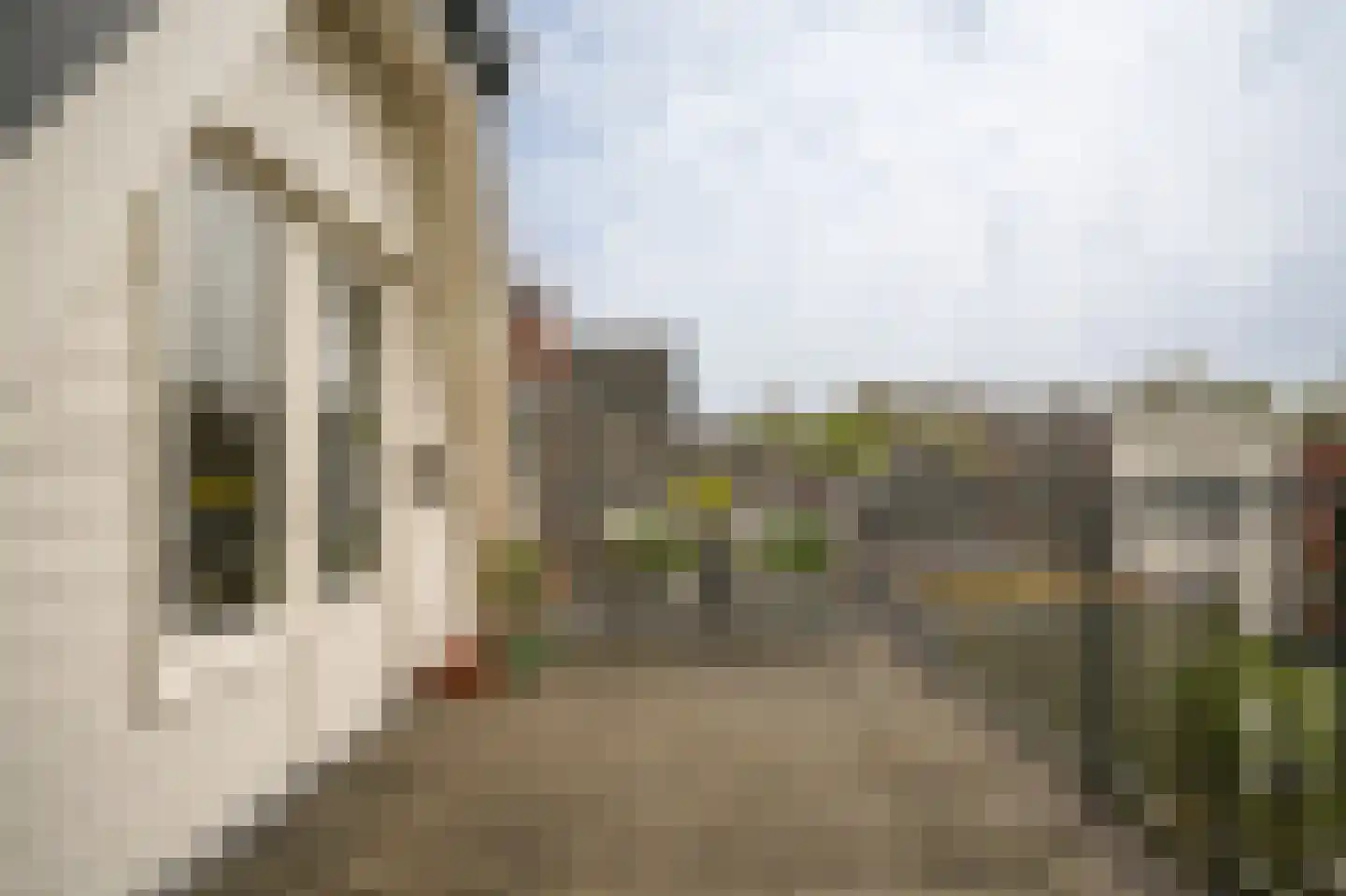 Boschstraat 66 Zaltbommel thumbnail 43