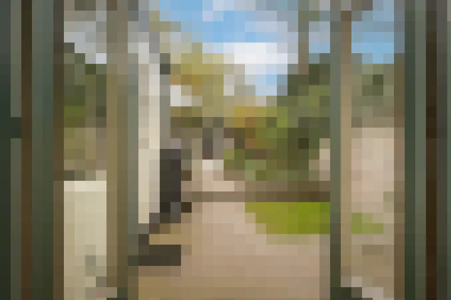Boschstraat 66 Zaltbommel thumbnail 46
