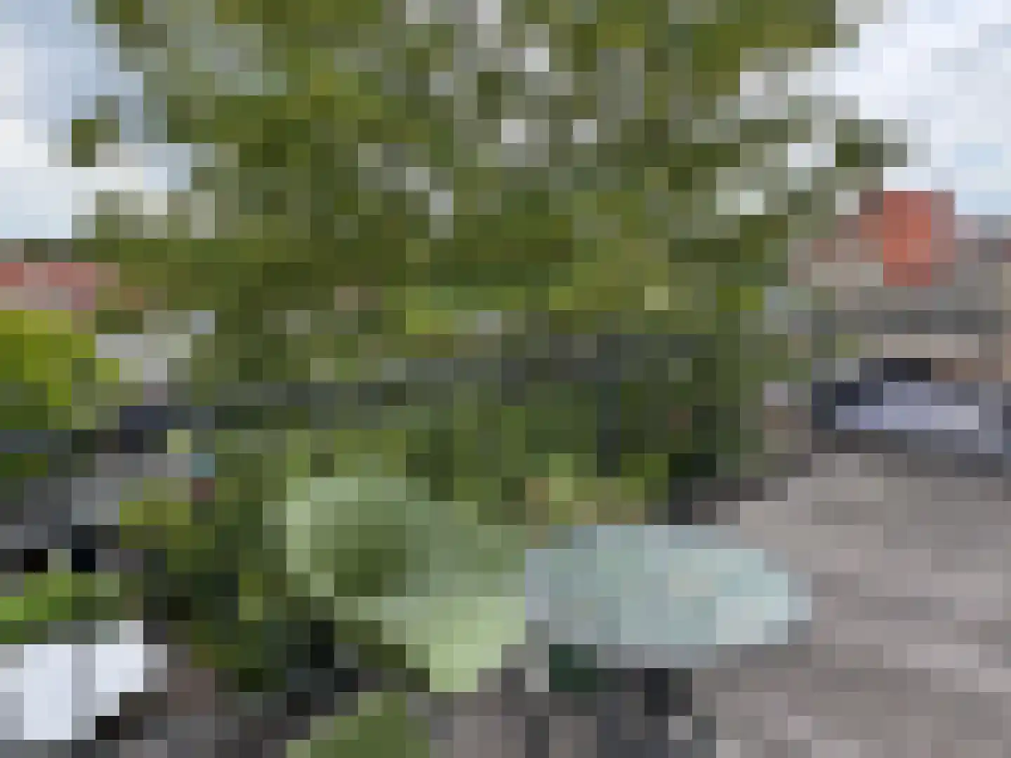 Boschstraat 66 Zaltbommel thumbnail 47