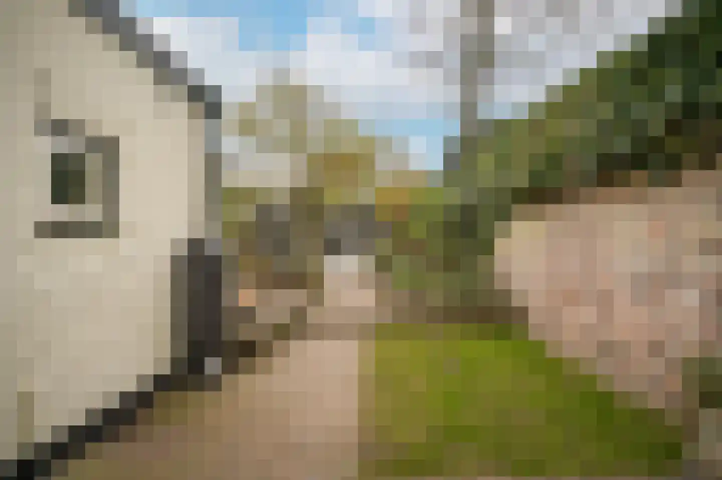 Boschstraat 66 Zaltbommel thumbnail 48