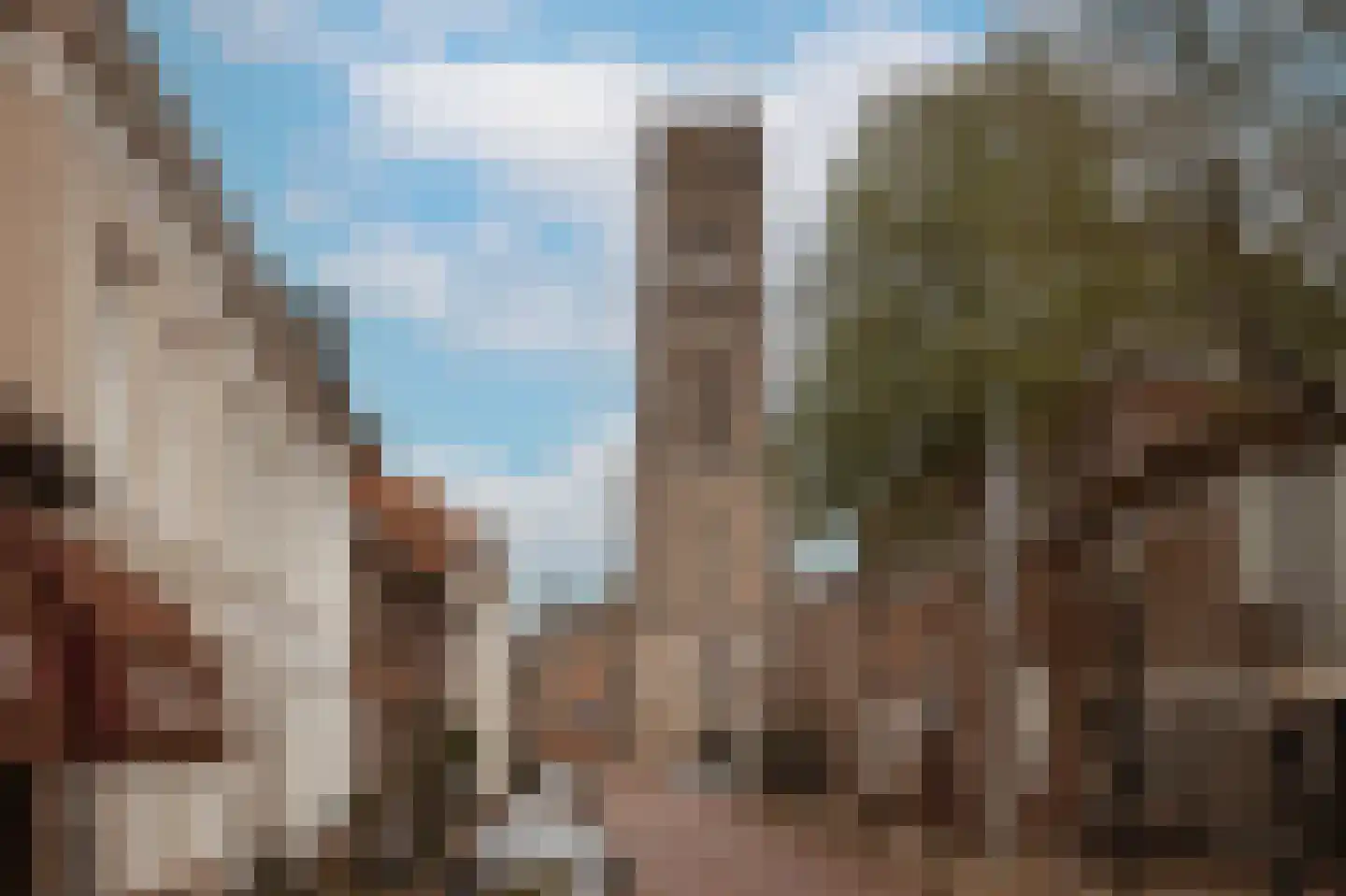 Boschstraat 66 Zaltbommel thumbnail 51