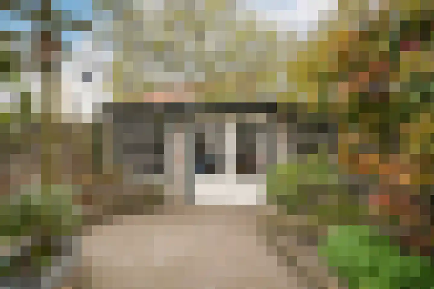 Boschstraat 66 Zaltbommel thumbnail 52