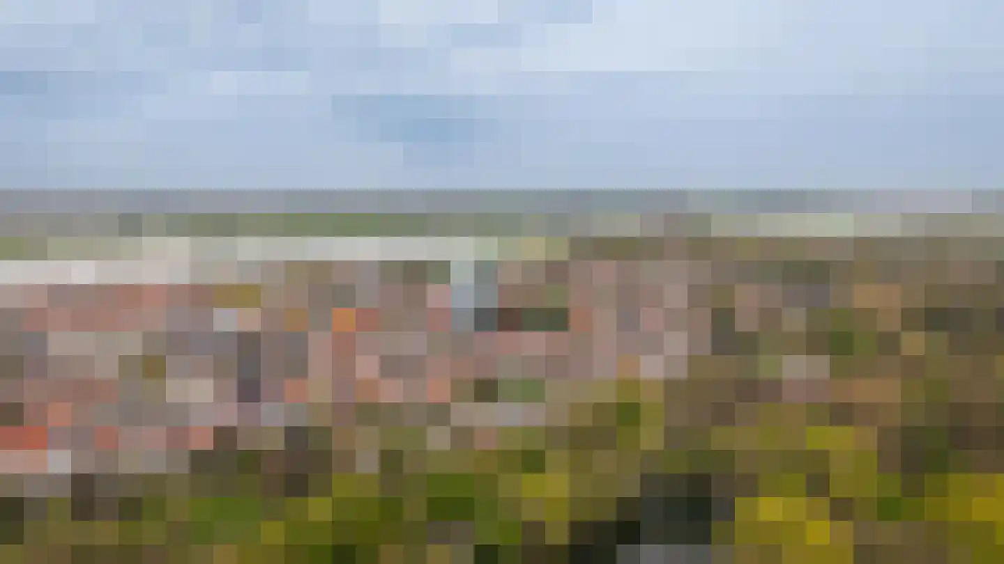 Boschstraat 66 Zaltbommel thumbnail 53