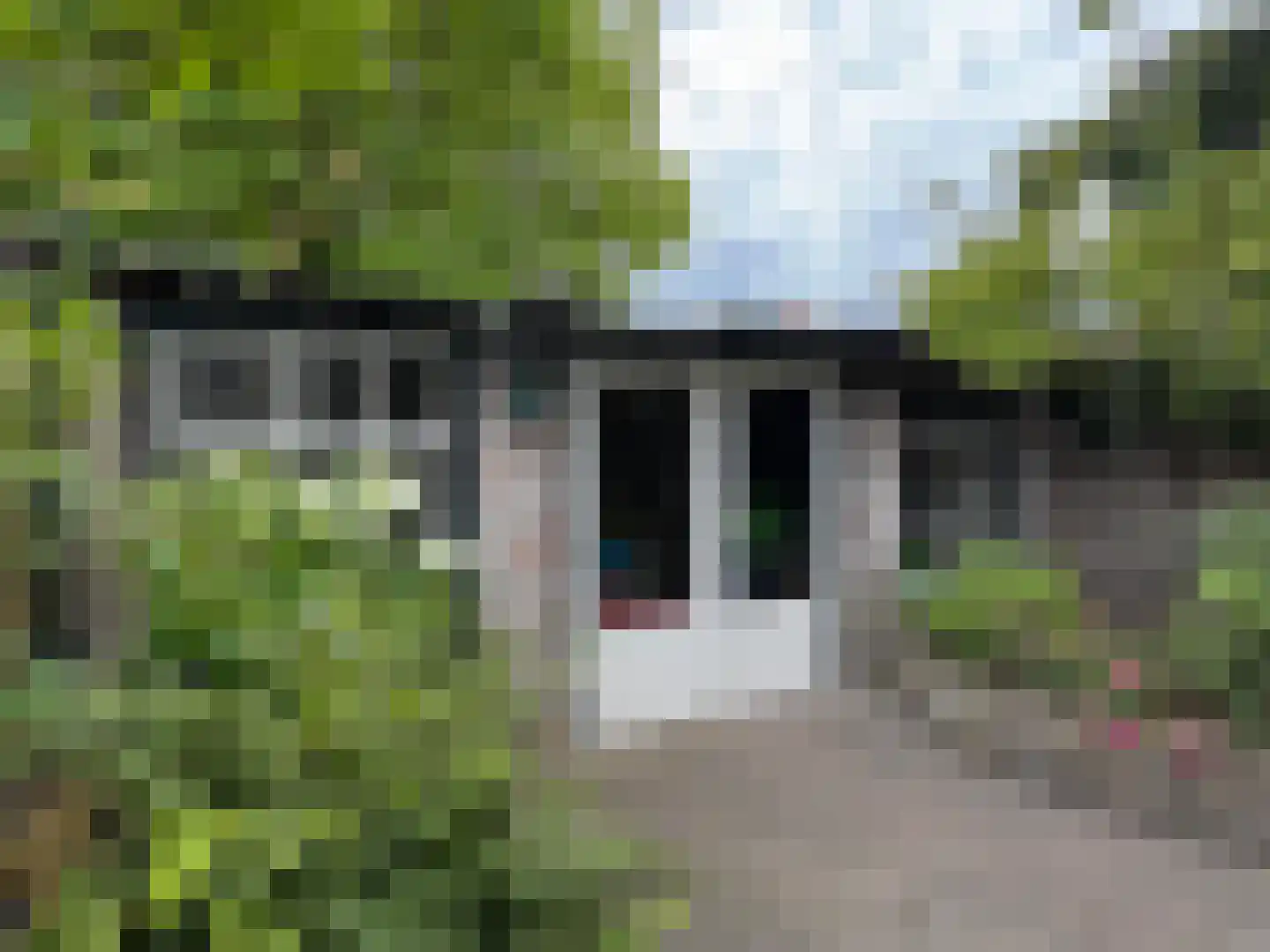 Boschstraat 66 Zaltbommel thumbnail 59