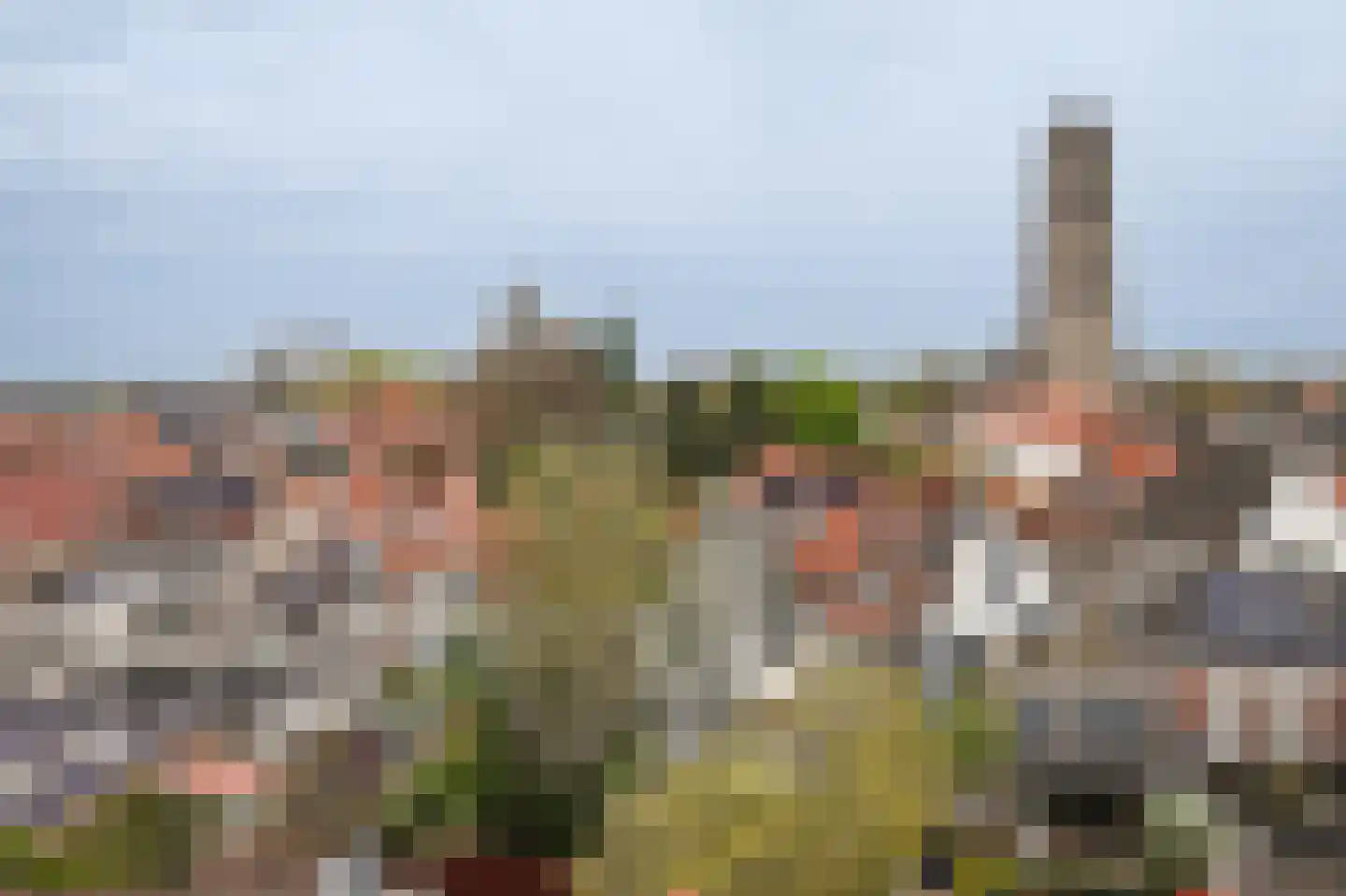 Boschstraat 66 Zaltbommel thumbnail 64