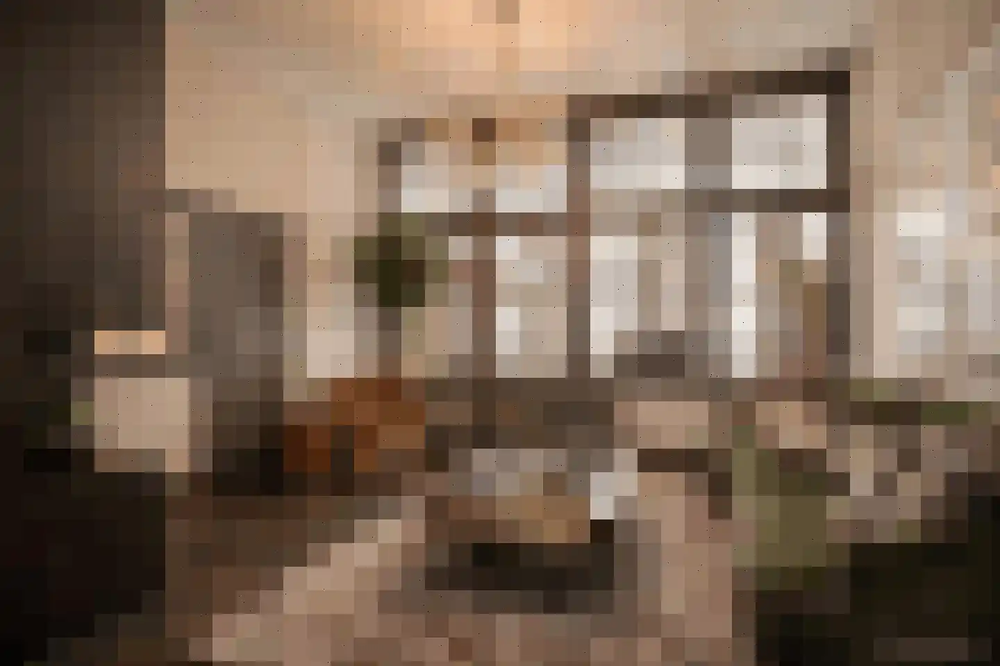 Boschstraat 66 Zaltbommel thumbnail 9