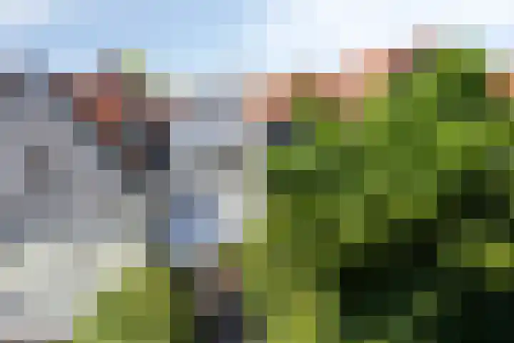 Boschstraat 67 Zaltbommel thumbnail 38