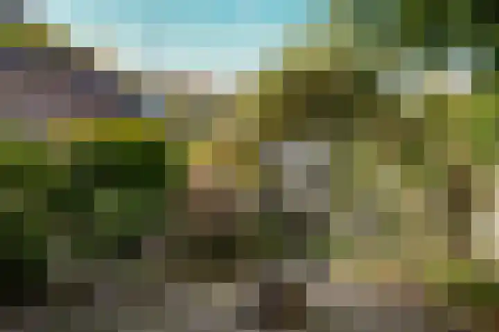 Boschstraat 69 Zaltbommel thumbnail 33