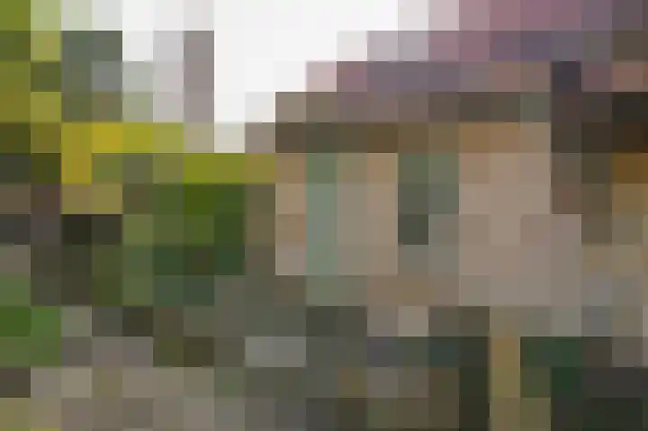 Boschstraat 69 Zaltbommel thumbnail 34